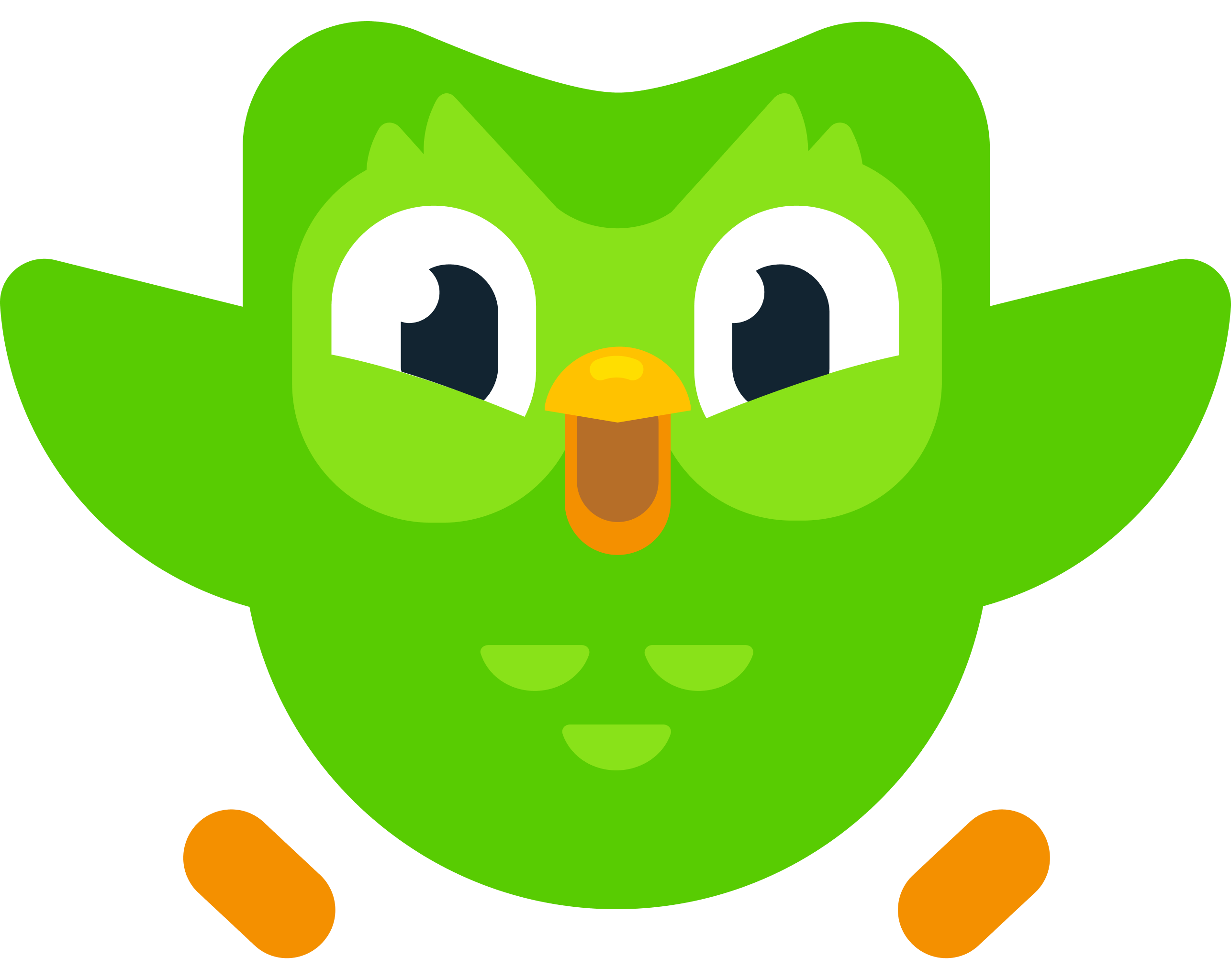 Duolingo logo